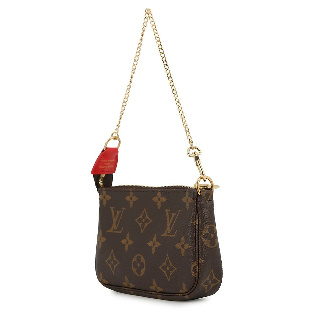 Louis Vuitton Vivienne Accessoires Pouch Monogram Pochette Brown